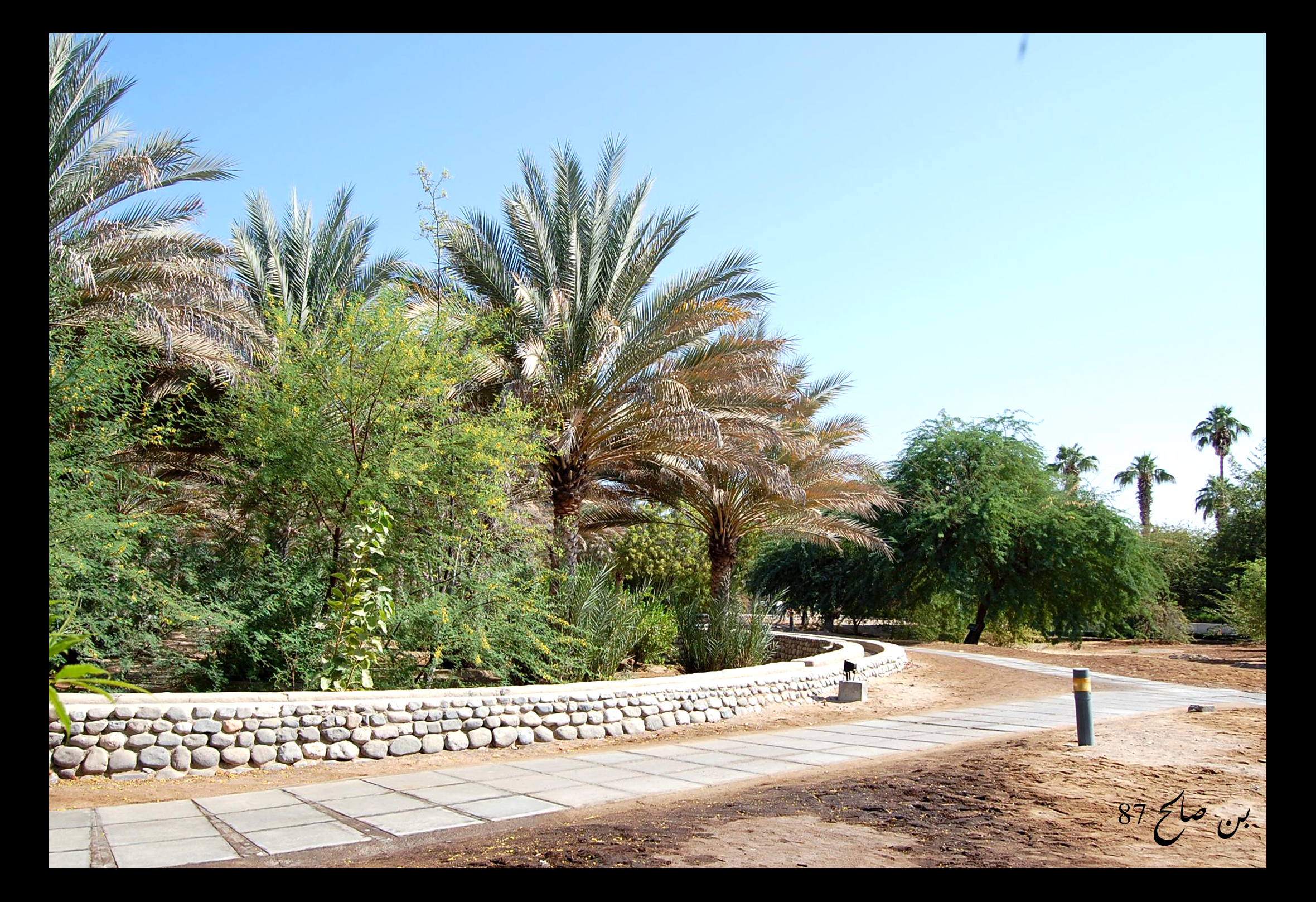 صور من ابداع اعضاء عمان فوتو
