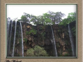 صور من ابداع اعضاء عمان فوتو