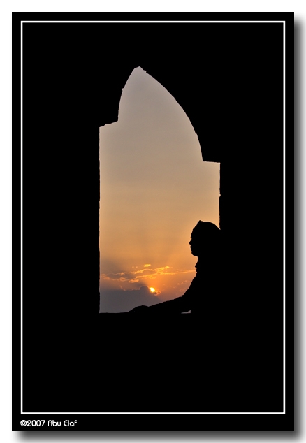 صور من ابداع اعضاء عمان فوتو