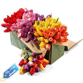 tulips-bulk-mix_3SL-com_2_
