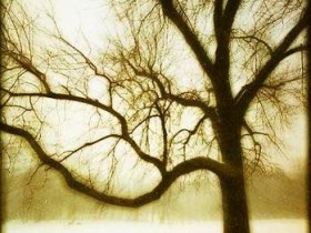 nice_pic_design_photo_116_1_