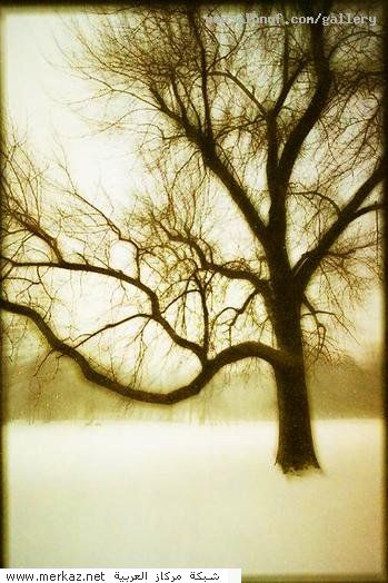 nice_pic_design_photo_116_1_