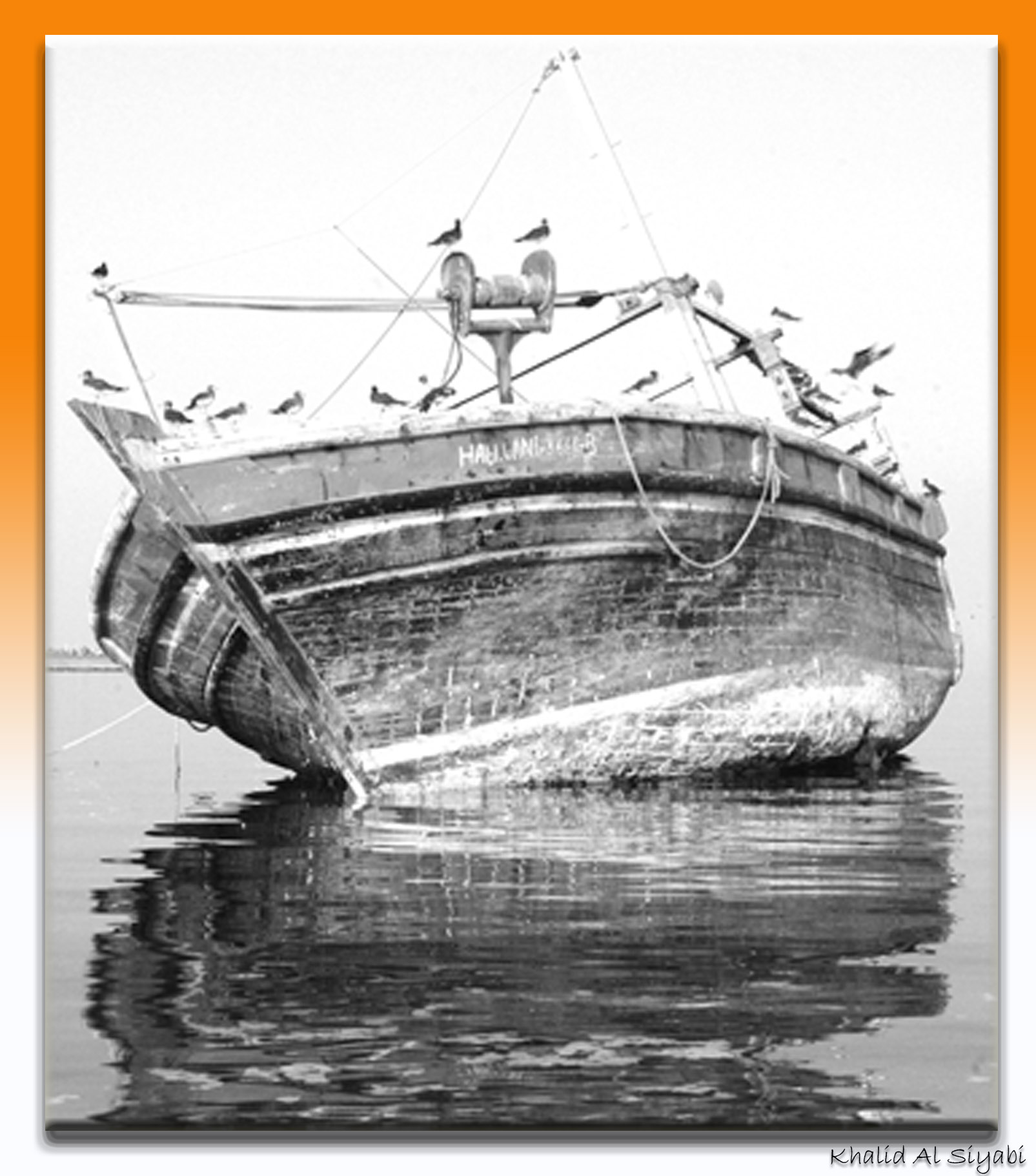 صور من ابداع اعضاء عمان فوتو
