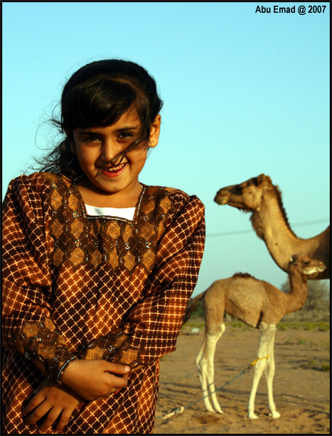 صور من ابداع اعضاء عمان فوتو