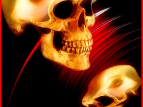 صور من ابداع اعضاء عمان فوتو