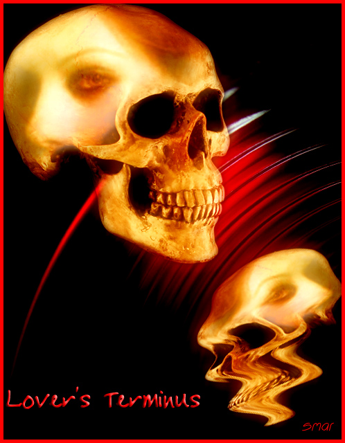 صور من ابداع اعضاء عمان فوتو