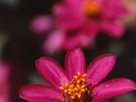 صور منوعة من الإنترنت