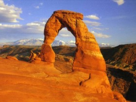 صور منوعة من الإنترنت