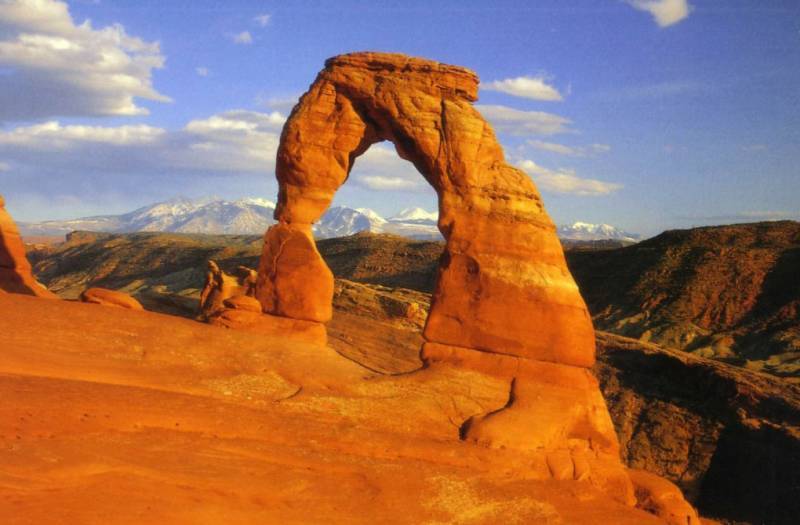 صور منوعة من الإنترنت