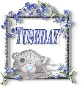 TUESDAY