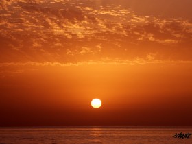 صور من ابداع اعضاء عمان فوتو