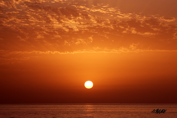 صور من ابداع اعضاء عمان فوتو