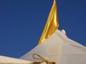 صور منوعة من الإنترنت
