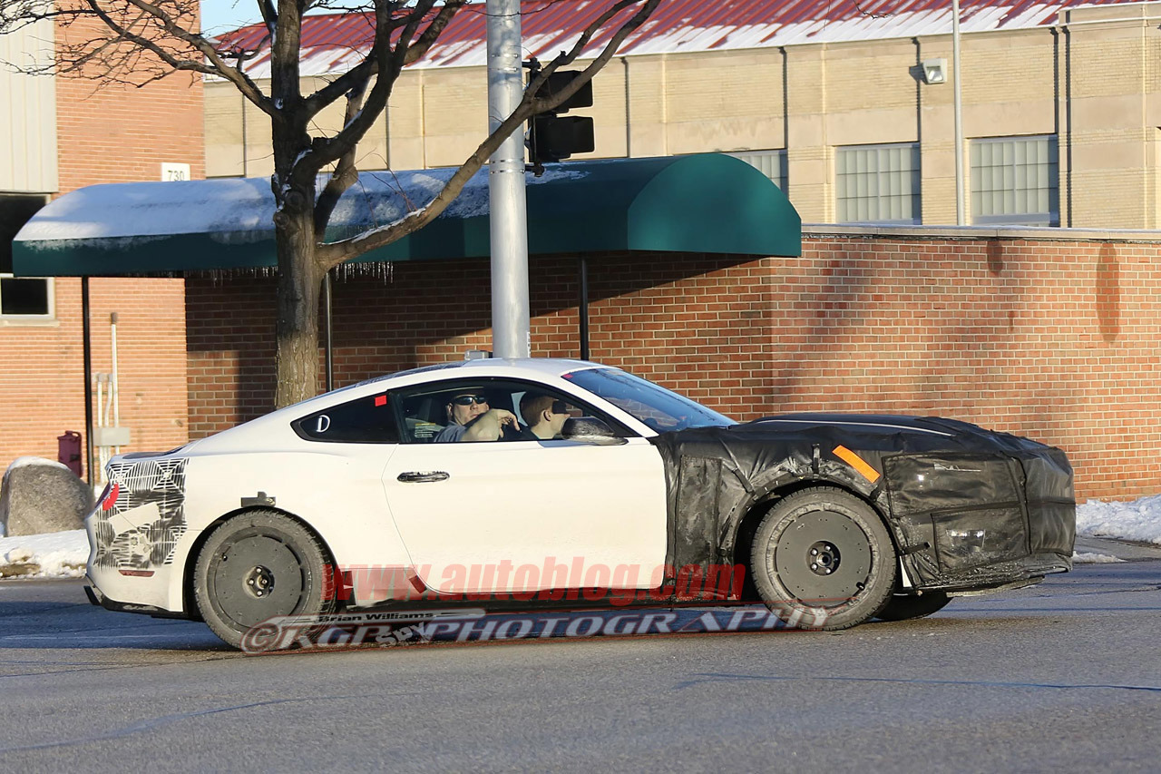 Mustang GT350 Spyshot