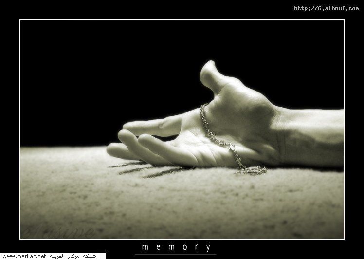 nice_pic_design_photo_16_1_1