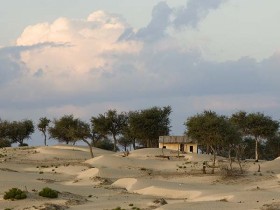 صور من ابداع اعضاء عمان فوتو