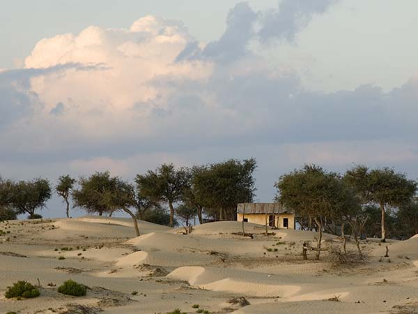 صور من ابداع اعضاء عمان فوتو