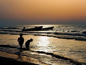 صور من ابداع اعضاء عمان فوتو