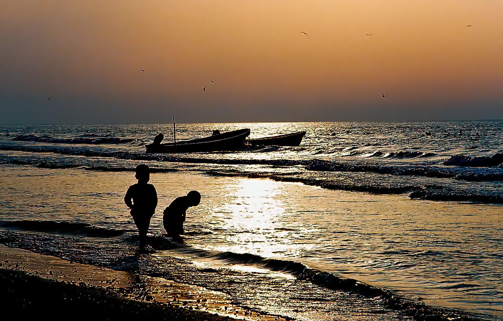 صور من ابداع اعضاء عمان فوتو