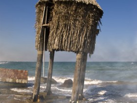 صور من ابداع اعضاء عمان فوتو