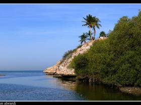 صور من ابداع اعضاء عمان فوتو