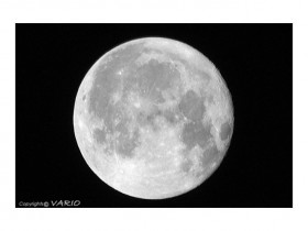 صور من ابداع اعضاء عمان فوتو