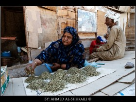 صور من ابداع اعضاء عمان فوتو
