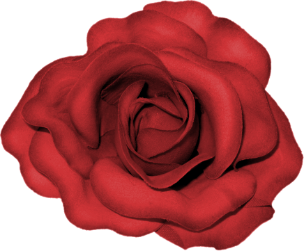 BVS_pink_valentine_bt_flower01