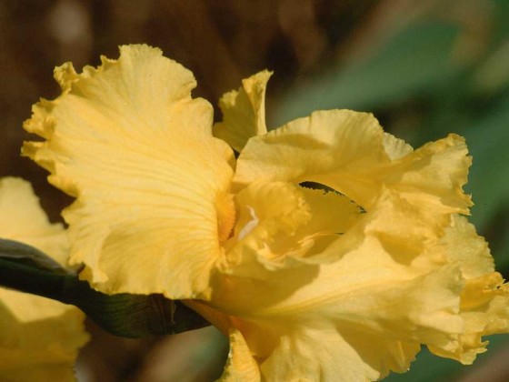 PTBL0046