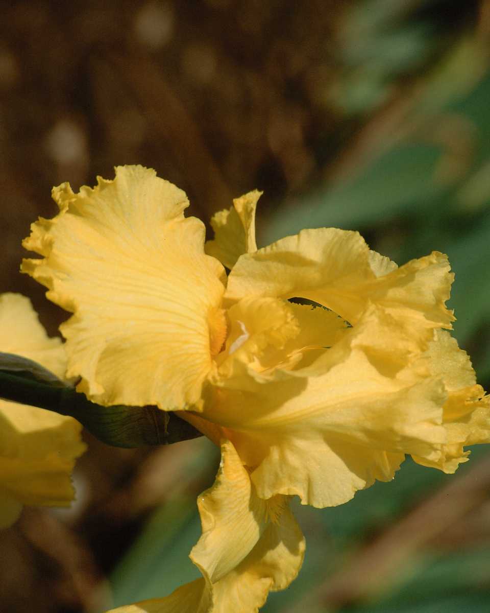 PTBL0046