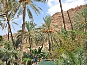صور من ابداع اعضاء عمان فوتو