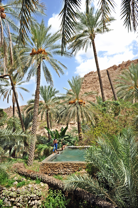 صور من ابداع اعضاء عمان فوتو