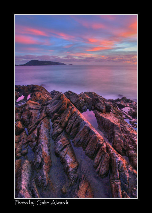 صور من ابداع اعضاء عمان فوتو