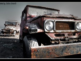 صور من ابداع اعضاء عمان فوتو