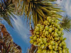 صور منوعة من الإنترنت
