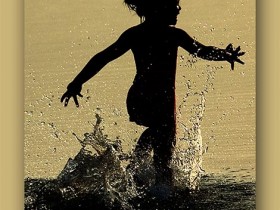 صور من ابداع اعضاء عمان فوتو