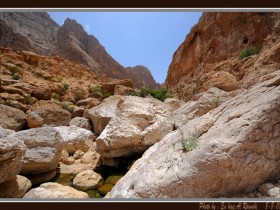 صور من ابداع اعضاء عمان فوتو
