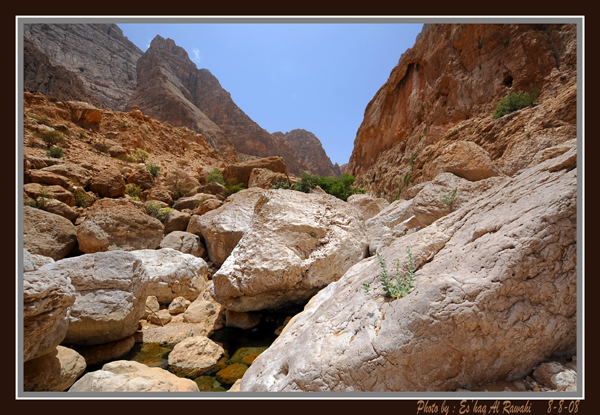 صور من ابداع اعضاء عمان فوتو