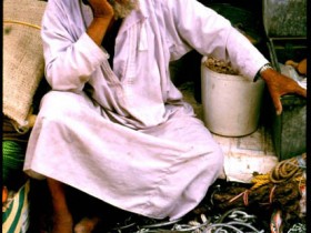 صور من ابداع اعضاء عمان فوتو