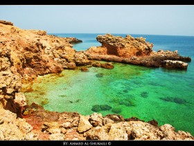 صور من ابداع اعضاء عمان فوتو