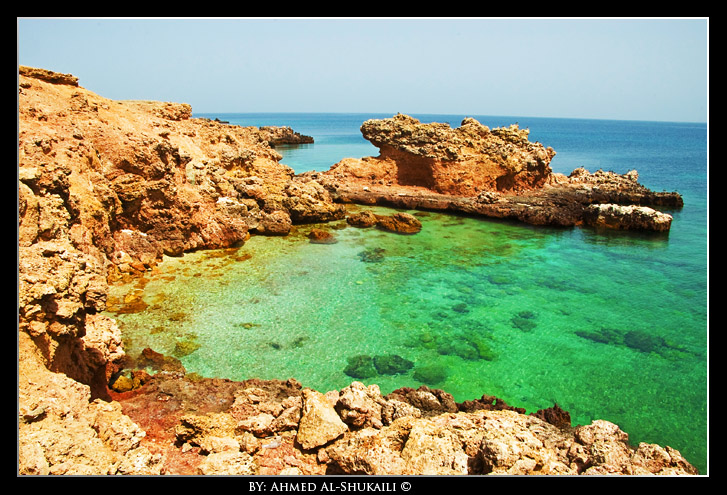 صور من ابداع اعضاء عمان فوتو