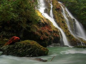 صور منوعة من الإنترنت