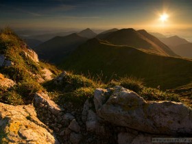 صور منوعة من الإنترنت