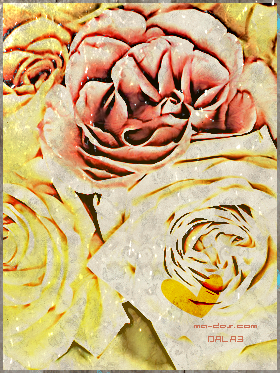 Wallpaper-39