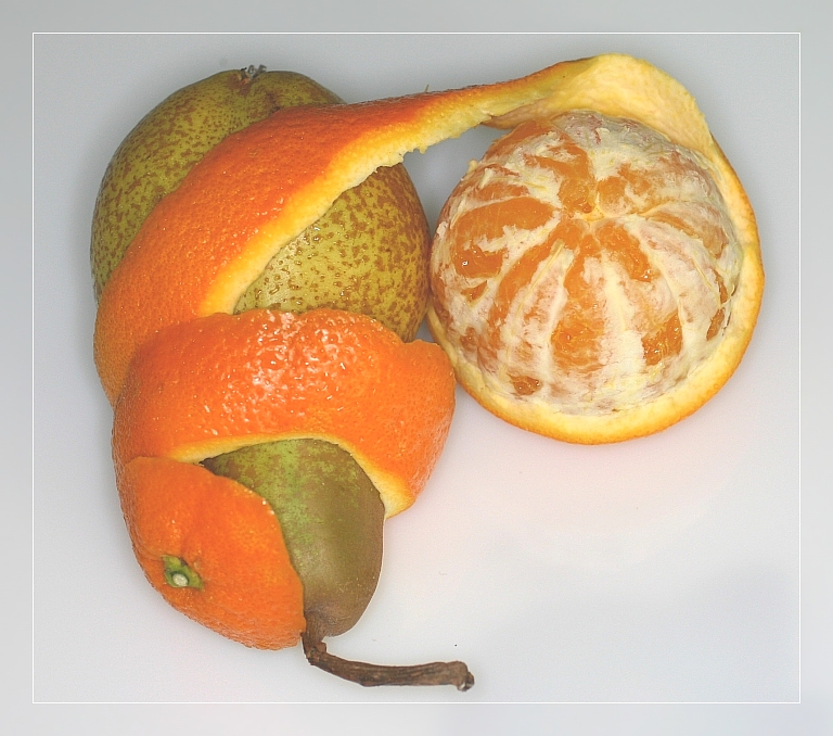 1485933-1804e1089e1d71c0_1_