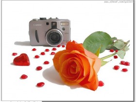 nice_pic_design_photo_71_1_