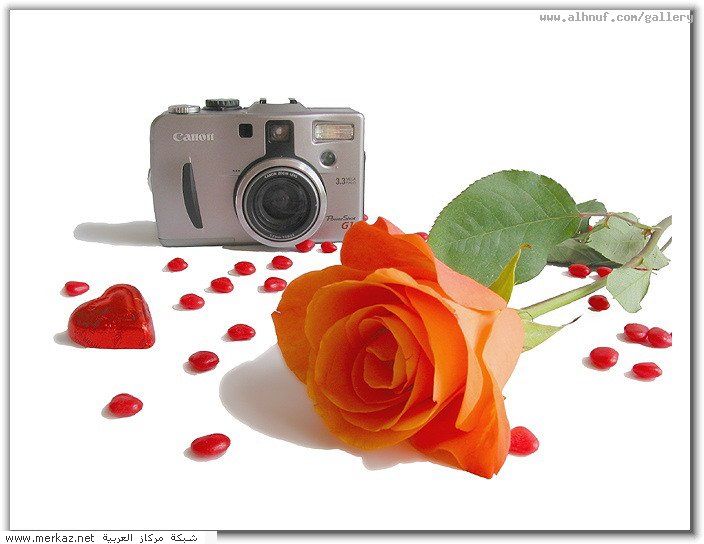 nice_pic_design_photo_71_1_