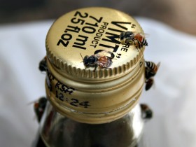 صور من ابداع اعضاء عمان فوتو