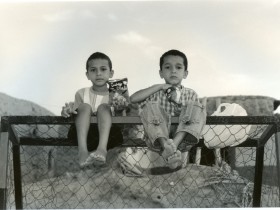 صور من ابداع اعضاء عمان فوتو