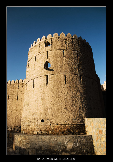 صور من ابداع اعضاء عمان فوتو